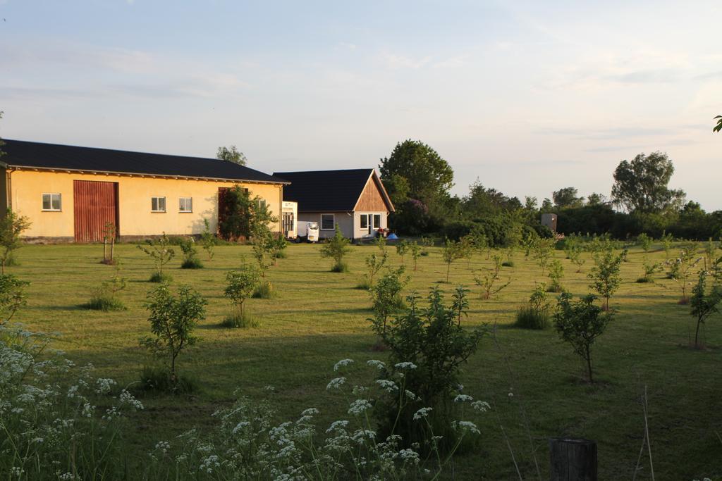 Strandsegård Ferielejlighed Ølsted Exteriör bild