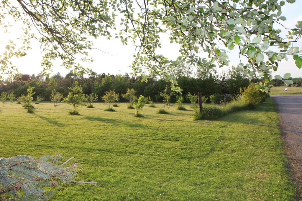 Strandsegård Ferielejlighed Ølsted Exteriör bild